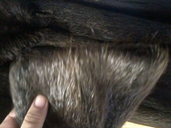 kožíšek vydra SLEVA - 4