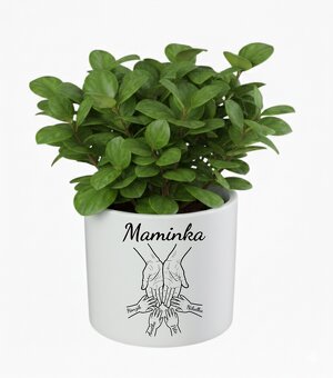 Květináč - Maminka a děti - 4