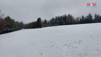 Prodej lesa, 60981 m², Česká Třebová - Svinná - 4