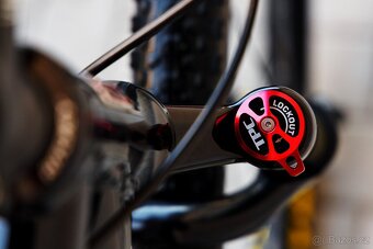 MTB Pells RAZZER carbon Race D (XL) - 4