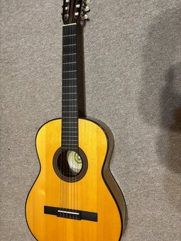 Akustická kytara Schneider - 4