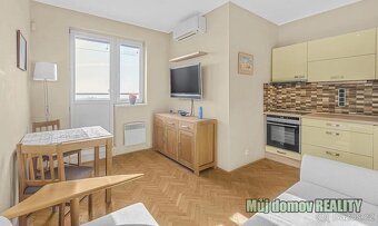 Pronájem zařízeného bytu 1+kk s terasou, Sobotecká, Praha - - 4