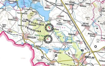 Sady, vinice, prodej, Bulhary, Břeclav - 4