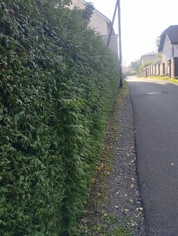 Дом и сад - 4