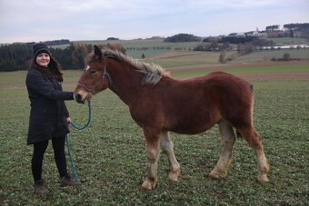 Prvomájový hřebeček ČMB 2025 - 4