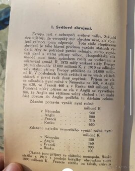 SVĚTOVÉ ZBROJENÍ A SLOVANSTVO 1915 - 4
