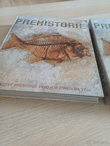 Velká kniha prehistorie - 4