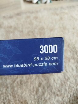 Puzzle 3000 Pirátský poklad Bluebird - 4