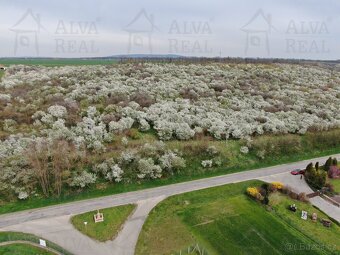 Exkluzivně nabízíme k prodeji ovocný sad o výměře 1850 m². - 4