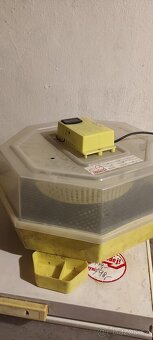 Housata - 4