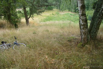 Prodej zahrady v osobním vlastnictví v Krušovicích, zahrada - 4