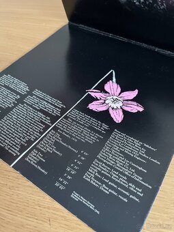 Uriah Heep – Salisbury - 4