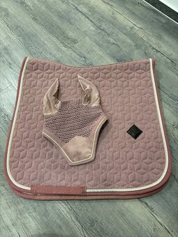 Kentucky, Lemieux, Zandona atd - 4