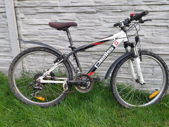 Pell's Razzer Team Replica 24 - 4