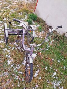 Tříkolka kolo Loped s košíkem - 4