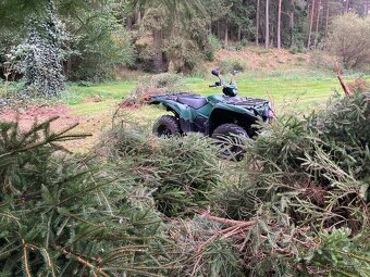 Yamaha grizzly 700 - 4