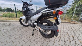 Suzuki XF 650 Freewind - 4