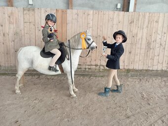 Prodej pony s TOP povahou - 4