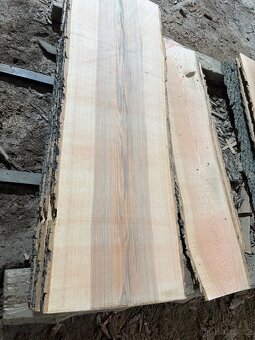 Jasanove rezivo -prkna 35mm - 4