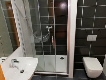 REZERVOVÁNO, Novostavba 1+kk, Lindleyova, Praha 6 - 4