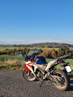 Honda CBR 250R (2011) - 4