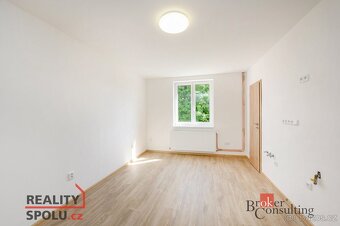 Prodej, byty/3+kk, 70 m2, Nepomucká 297/13, Koterov, 32600 P - 4