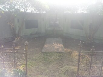 Sekání trávy zástřih živých plotů frézování pařezů - 4