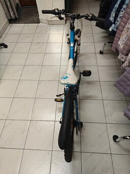 Dětské kolo Superior Paint24 - 4