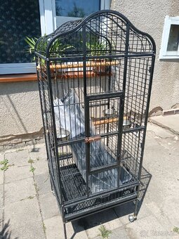 Klec na velkého papouška - 4