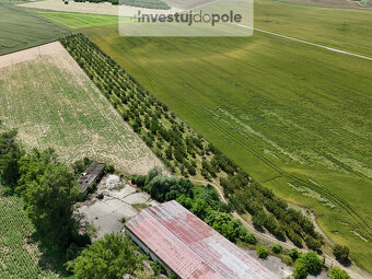 Prodej ovocného sadu v k.ú. Šardice - 4