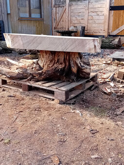 masivni stul na korenu - 4