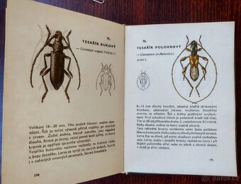 Atlas brouků (kapesní) - 4