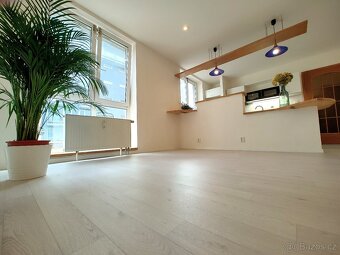 Prodej bytu 1+kk 33m² + 48m² terasa/zahrádka, Praha-Trója - 4