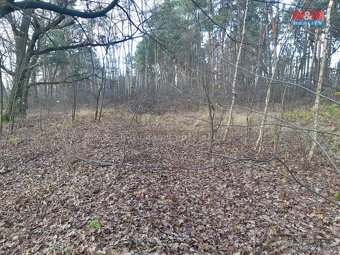 Prodej lesa, 1540 m², Sadská - 4