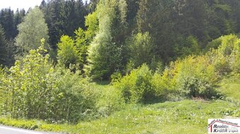 Pozemek k využití na bydlení nebo rekreaci, město Tanvald - 4