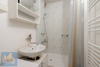 Světlý byt 1+kk, 30,4 m² + sklep, v osobním vlastnictví, Pra - 4