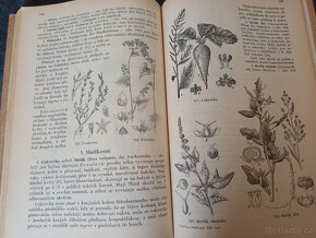 Staré knihy DOMA - ROSTLINOPIS - DĚTSKÝ SVĚT - 4