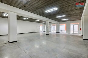 Pronájem skladu, 563 m², Dýšina, ul. V. Brožíka - 4