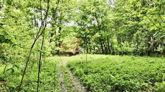 Prodej pozemku k bydlení Nová Lhota - Vápenky (980m2) - 4