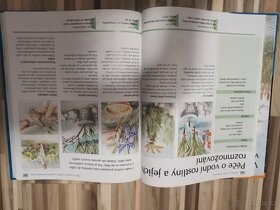 Akvárium, Okrasná jezírka - 4
