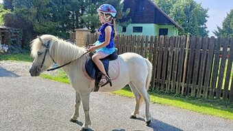 Pony kobylka - 4