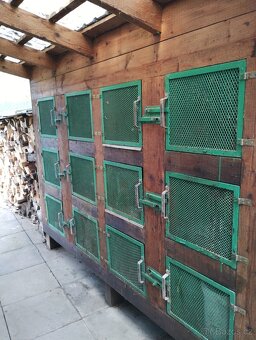 Kralikarna, kotce. - 4