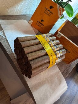 Cohiba Siglo VI - 4