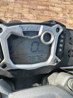 TGB target 550 efi irs - 4