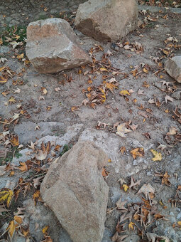 Prodám solitérní kameny do zahrady - 4