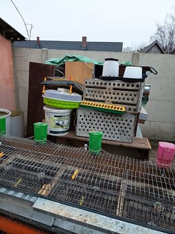 Prodej klecí na křepelky - 4