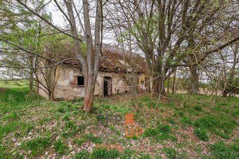 Prodej pozemku 5511 m² s budovou 176 m² - Nová Ves - Louka - 4