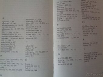 Kočky, kocouři a koťata - 4