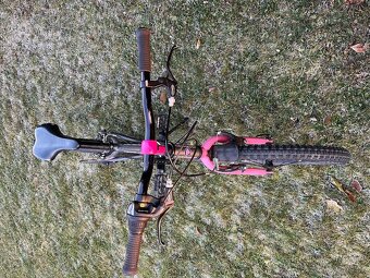 Author Cosmic 20” - 4