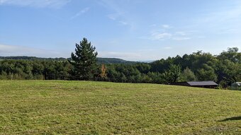 Pronájem louky 5000 m2 - 4
